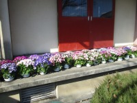 IMG_1109 IMG_1109