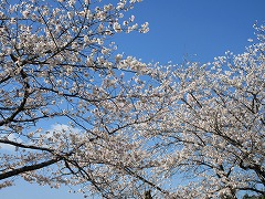 s-IMG_8738 s-IMG_8738