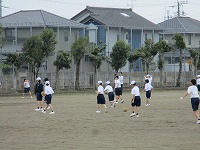 IMG_2431 IMG_2431