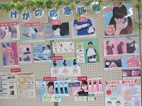 IMG_2439 IMG_2439