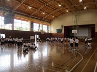 IMG_1235 IMG_1235