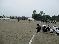 IMG_1239 IMG_1239