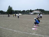 IMG_1244 IMG_1244