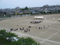 IMG_1246 IMG_1246