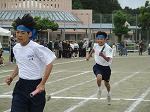 IMG_1315 IMG_1315