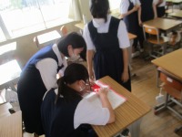 IMG_1424 IMG_1424