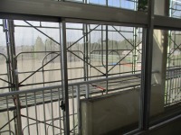 IMG_1484 IMG_1484