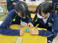 IMG_2513 IMG_2513