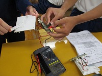IMG_2517 IMG_2517
