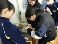 DSCN3792 DSCN3792