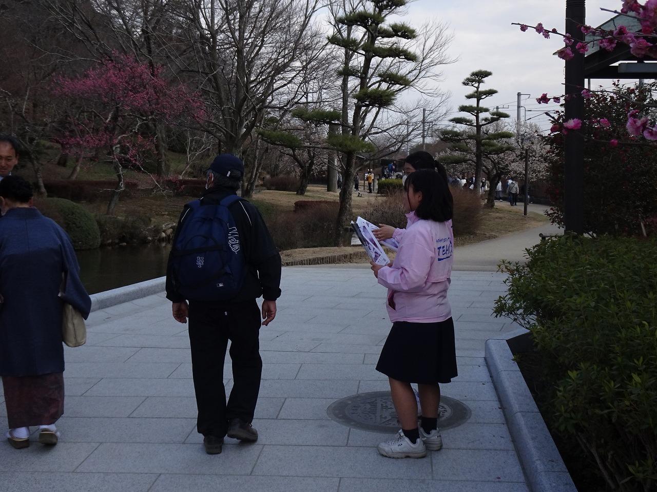 DSC05545 DSC05545