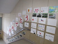 IMG_2525 IMG_2525