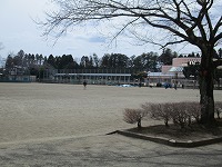 IMG_2738 IMG_2738