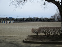 IMG_2739 IMG_2739