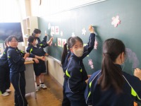 IMG_2587 IMG_2587