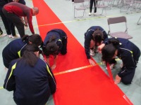IMG_2586 IMG_2586