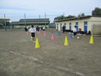 IMG_2701 IMG_2701