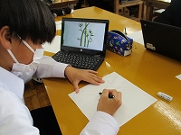 IMG_2722 IMG_2722