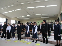 IMG_2729 IMG_2729