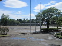 IMG_2774 IMG_2774