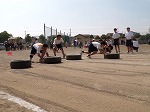 101_0463 101_0463