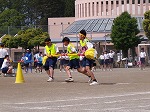 101_0493 101_0493