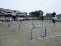 IMG_2874 IMG_2874