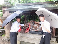 IMG_5411 IMG_5411