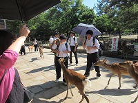 IMG_5408 IMG_5408