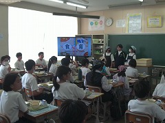s-ANMP0175