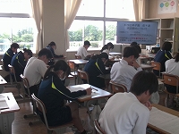 ANMP0245