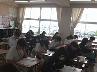 ANMP0246