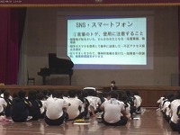 ANMP0308