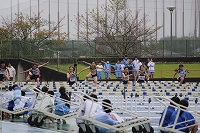 IMG_6979 IMG_6979