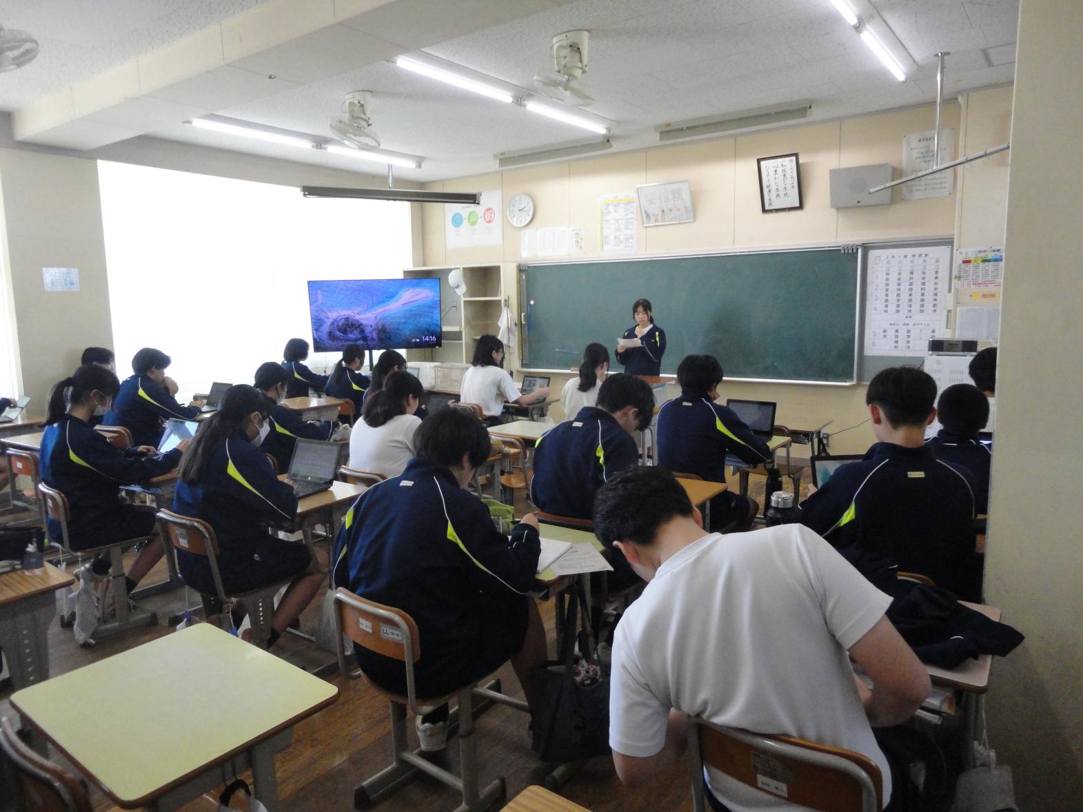 DSC05244 DSC05244
