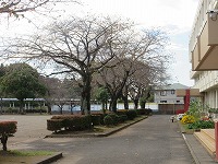 IMG_5696