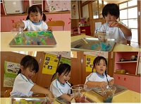様子2 様子2
