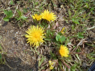 DSCN4986 DSCN4986
