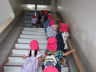 IMG_2005 IMG_2005