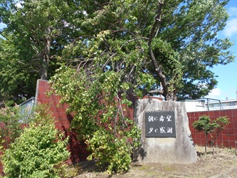 DSCN5762 DSCN5762