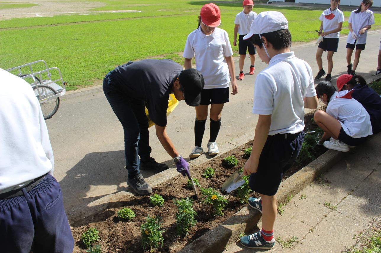 花の苗植え(6年) (9) 花の苗植え(6年) (9)