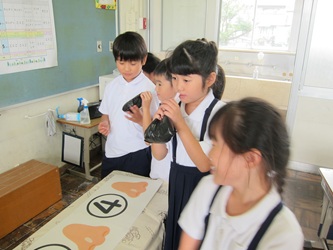 IMG_2174 IMG_2174