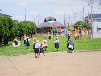 IMG_2219 IMG_2219