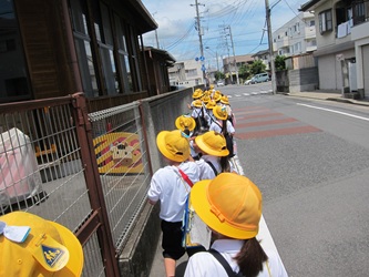 IMG_2239 IMG_2239