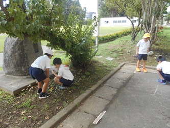 DSCN6275 DSCN6275