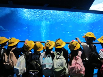 IMG_2361 IMG_2361