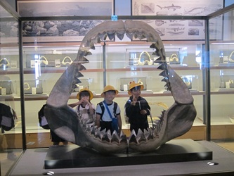 IMG_2363 IMG_2363