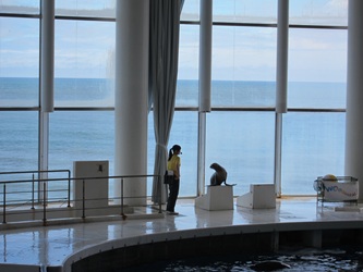 IMG_2383 IMG_2383