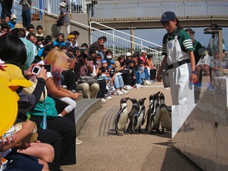 IMG_2390 IMG_2390