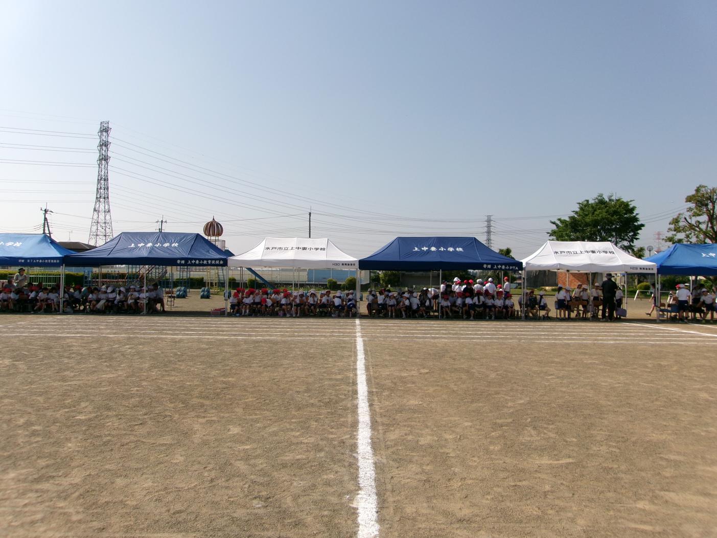 100_0237 100_0237